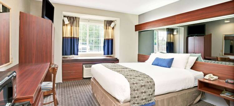 罗斯维尔-底特律地区温德姆麦客达套房酒店(Microtel Inn & Suites by Wyndham Roseville/Detroit Area)图片