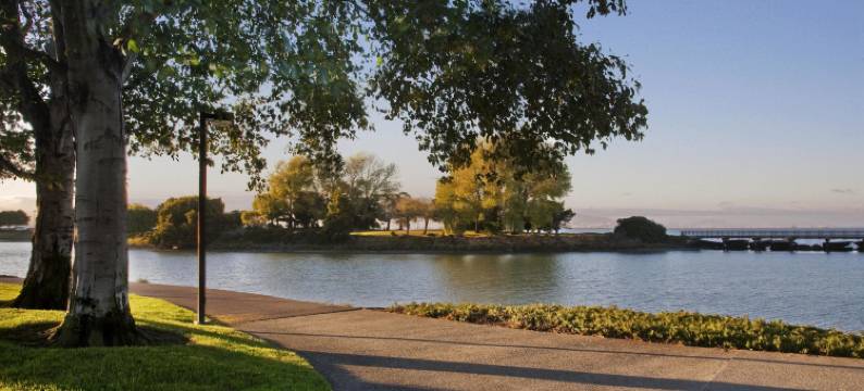 旧金山机场海湾希尔顿酒店(Hilton San Francisco Airport Bayfront)图片