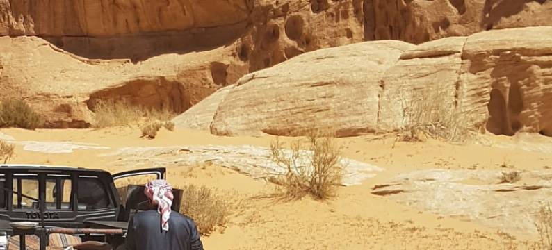 贝都因未来营地(Bedouin Future Camp)图片