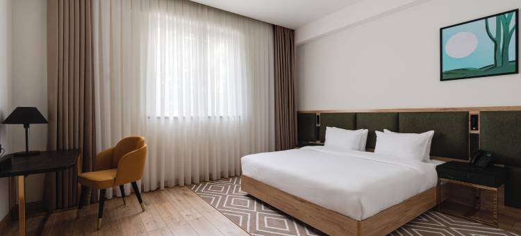 元素酒店(THE ELEMENTS HOTEL)图片