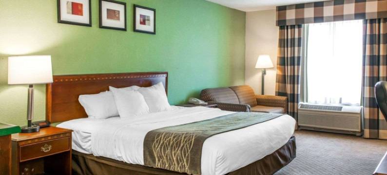 戈申舒适酒店(Comfort Inn)图片