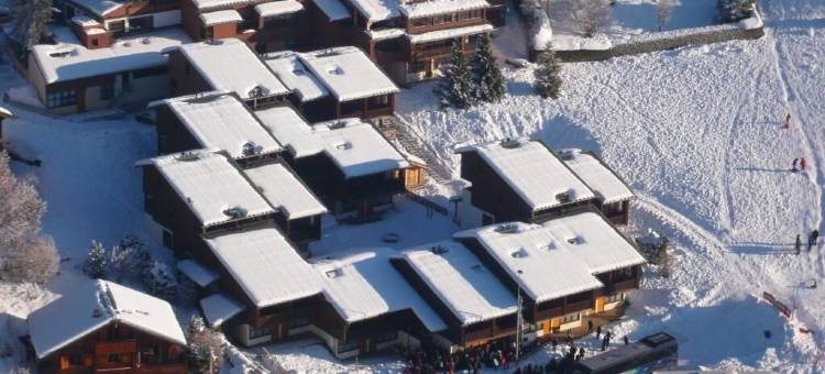 德凡坎西斯莱斯夫露康斯福特小村酒店(Village de Vacances les Flocons Verts)图片