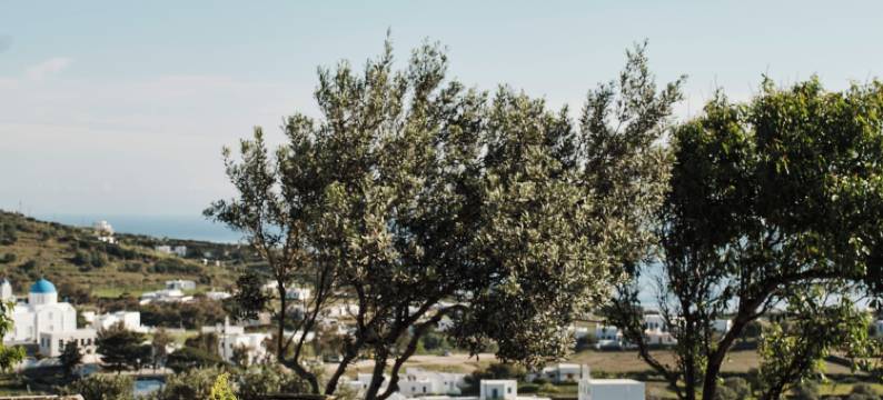 Stamna Sifnos, a Member of Design Hotels图片