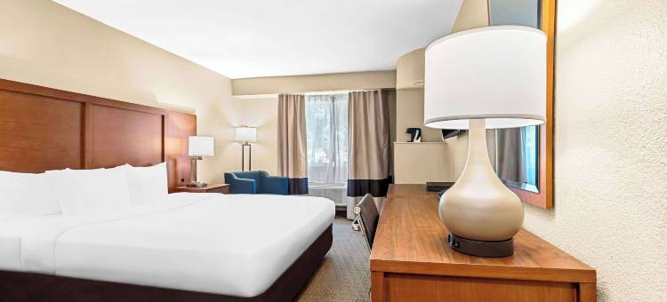 莫德斯托舒适酒店(Comfort Inn Modesto)图片
