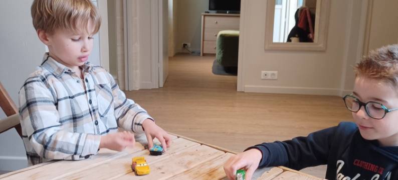 莱斯花园安茹酒店(Les Jardins de l'Anjou)图片