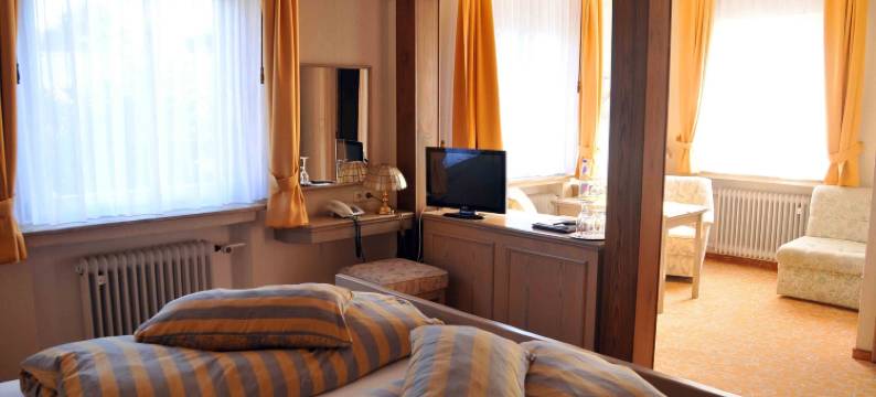 尼德尔斯费德酒店(Hotel Niedersfeld-Winterberg)图片