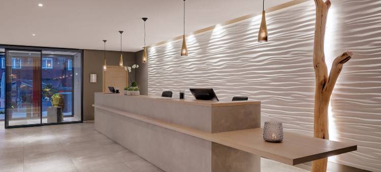 特劳布艾西酒店(Hotel Traube am See)图片