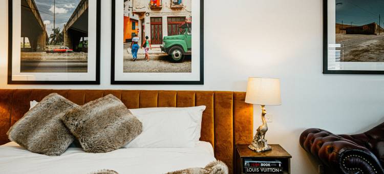 戴尔斯福特艺术汽车旅馆(Daylesford Art Motel)图片