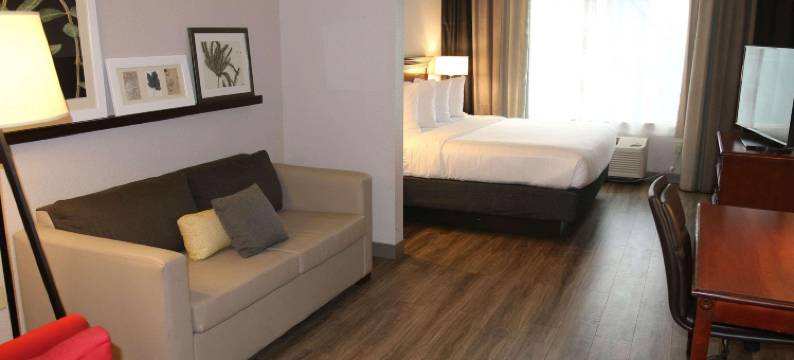 威尔逊丽怡酒店(Country Inn & Suites by Radisson, Wilson, NC)图片