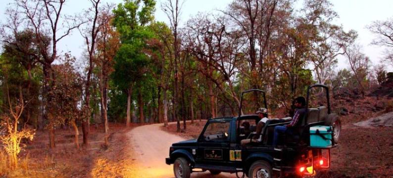 图丽虎度假村(Tuli Tiger Resort)图片