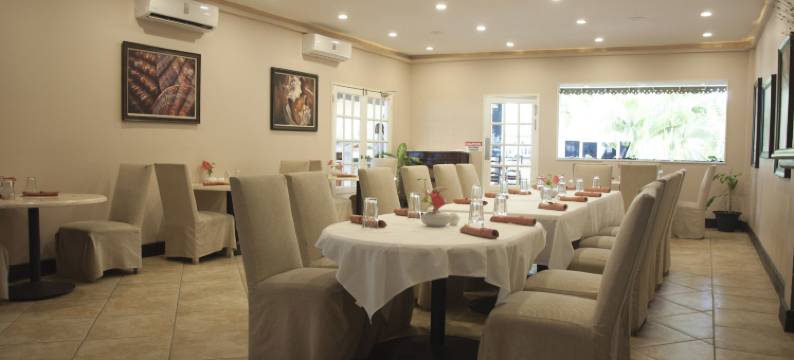 可可棕榈(Coco Palm)图片