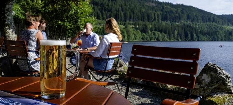 蒂蒂湖酒店(Maritim TitiseeHotel Titisee-Neustadt)图片