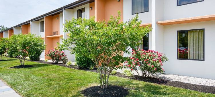 品质酒店(Quality Inn)图片