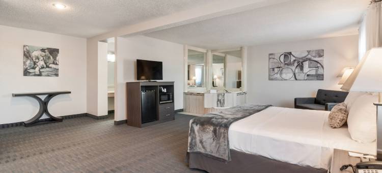 底特律地铁机场美国套房酒店(American Inn & Suites Romulus DTW)图片