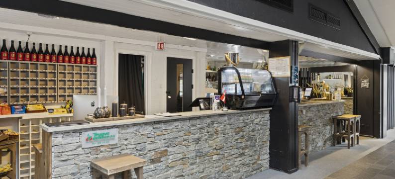 滑雪旅馆与公寓古特菲尔酒店(Ski Lodge Gautefall)图片