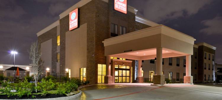 舒适套房酒店-近韦斯特彻斯8号环城路(Comfort Suites near Westchase on Beltway 8)图片