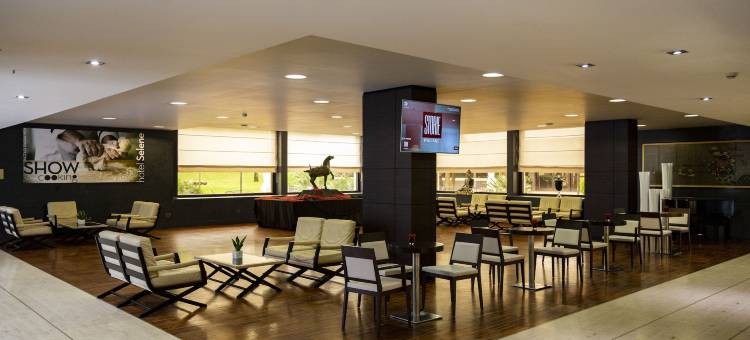 塞勒内酒店 波梅齐亚(Hotel Selene Pomezia)图片