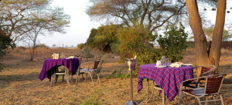 阿希尼尔阿鲁巴旅舍(Ashnil Aruba Lodge)图片