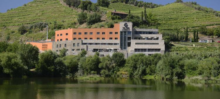 Vila Galé Collection Douro  杜罗酒庄与自然度假村(Vila Gale Collection Douro)图片