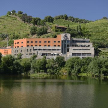 Vila Galé Collection Douro 杜罗酒庄与自然度假村(Vila Gale Collection Douro)图片