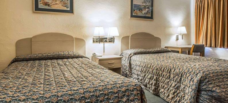 盖恩斯维尔大学区罗德威酒店(Rodeway Inn Gainesville - University Area)图片