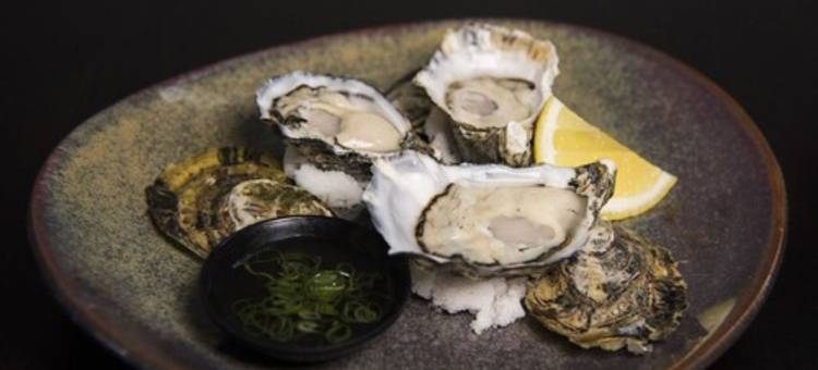 赫斯基森碧沙度假村(Huskisson Bayside Resort)图片