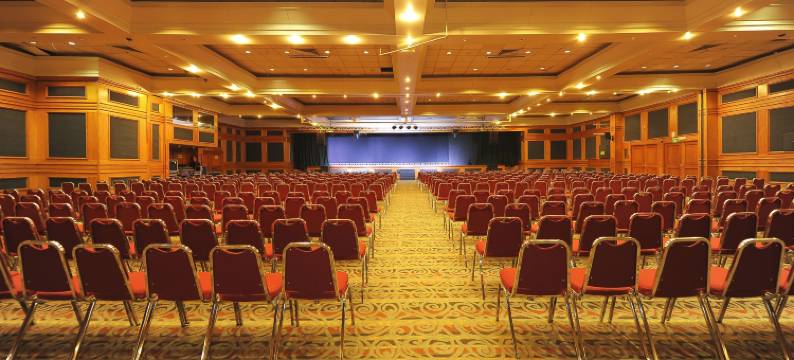 享受普孔酒店(Hotel Enjoy Pucon)图片