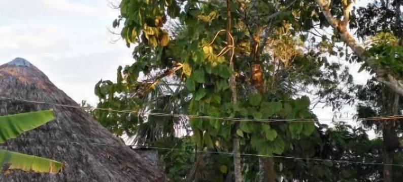 印第安纳旅馆(Indiana Lodge)图片