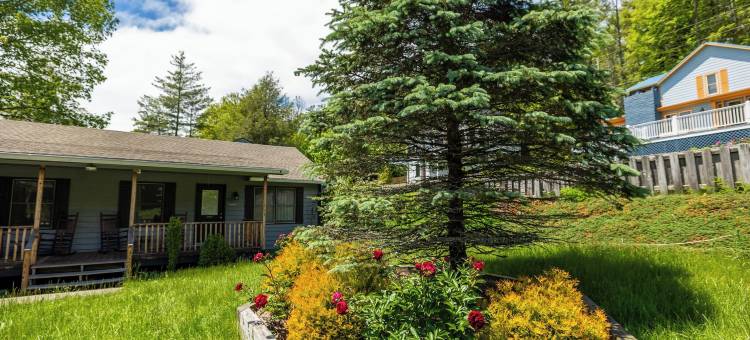 吹石旅馆(Blowing Rock Inn)图片