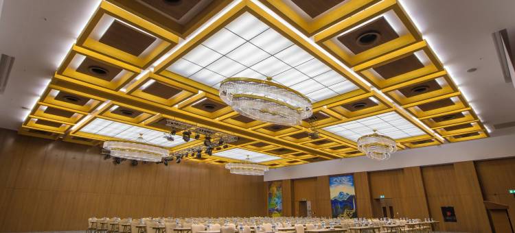 凯瑟里皇冠假日酒店(Crowne Plaza Kayseri)图片