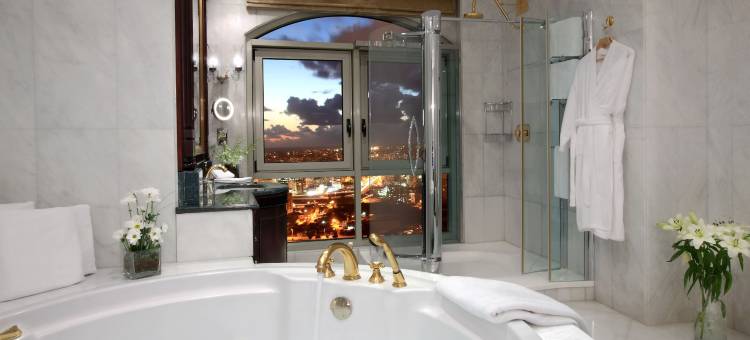 大都会宫殿(Habtoor Metropolitan Palace Hotel)图片