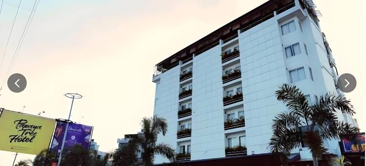 木瓜树酒店(Papaya Tree Hotels)图片