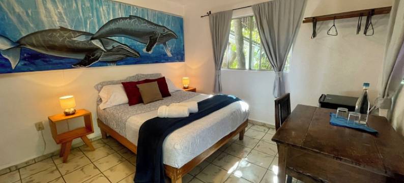 帕萨达斯诺尔马纳纳酒店(Hotel Posada Señor Mañana)图片