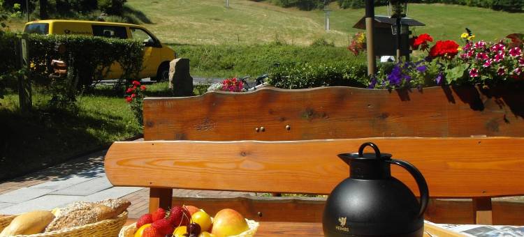 瓦尔特斯多夫索尼布格宝德酒店(Wanderhotel Sonnebergbaude)图片