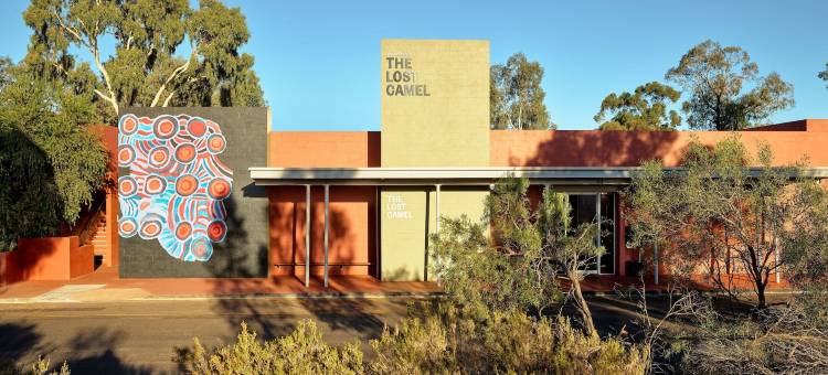 迷失骆驼酒店(The Lost Camel Hotel)图片