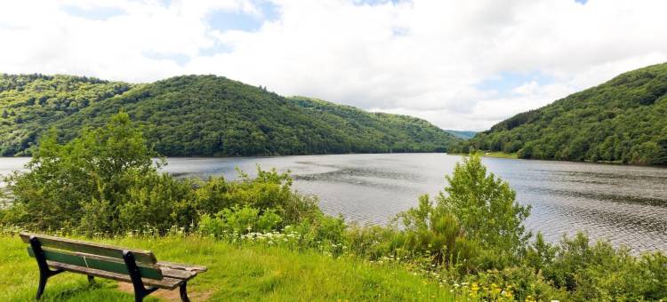 贝尔维餐厅酒店(Logis Hôtel Belle Vue)图片