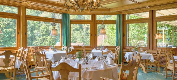 蒙施瓦德林酒店(Ringhotel Mönch`s Waldhotel)图片
