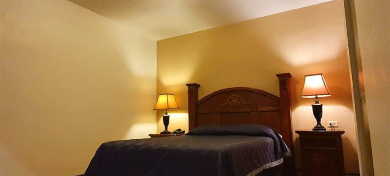 唐卡洛斯宇宙酒店(Hotel Cosmos Don Carlos)图片