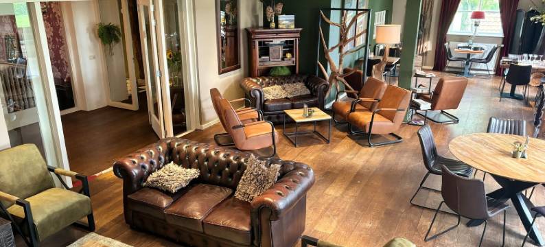 哈维扎特卡尔贝迪姆(Havezathe Carpe Diem)图片