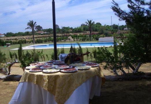 Hacienda Los JinetesHotel Overview