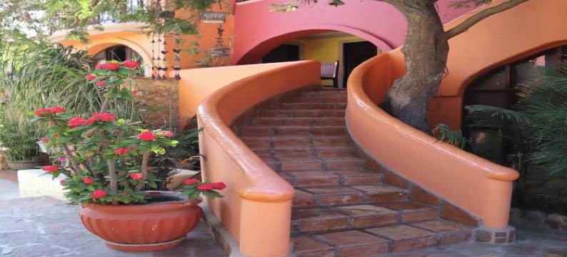 精选 O 卡波圣卢卡斯贝拉之家精品酒店(Collection O Casa Bella Hotel Boutique, Cabo San Lucas)图片