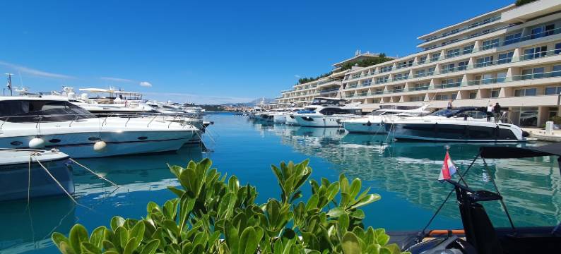 SmartStay 约翰尼(SmartStay Johnny)图片