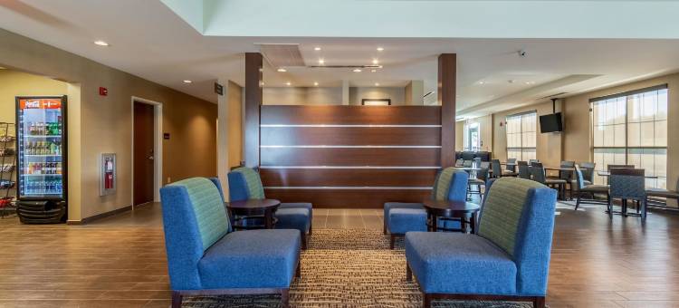 哈里斯堡机场赫塞南舒适酒店(Comfort Inn & Suites - Harrisburg Airport - Hershey South)图片