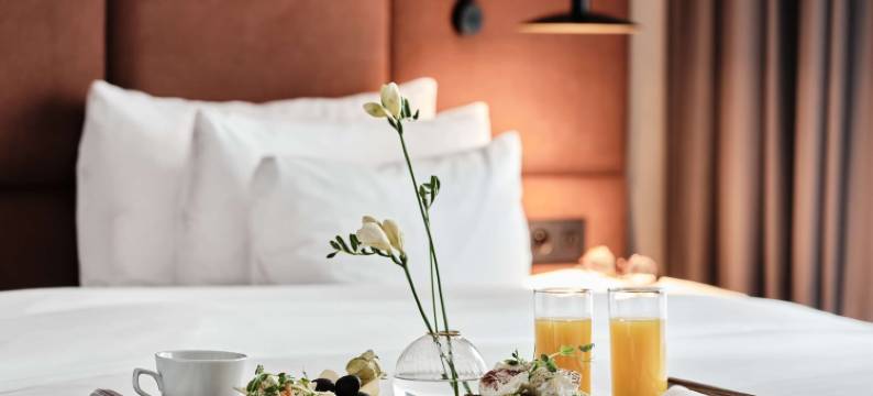 华沙丽笙精选酒店(Radisson Collection Hotel, Warsaw)图片