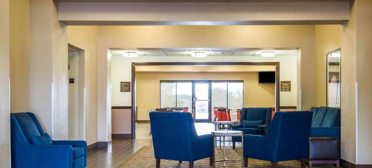 舒适套房酒店(Comfort Inn & Suites)图片