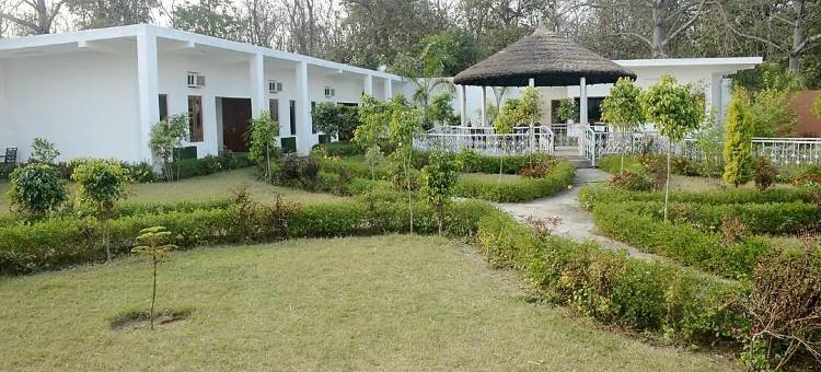 Dtr Jungle Hideaways图片