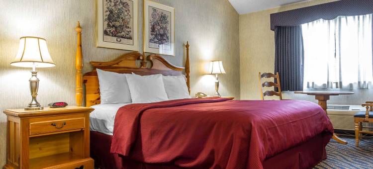 硅谷克拉丽奥酒店(Clarion Inn Silicon Valley)图片