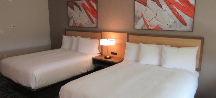 Best Western Plus Pearland/Houston Medical Center Hotel图片