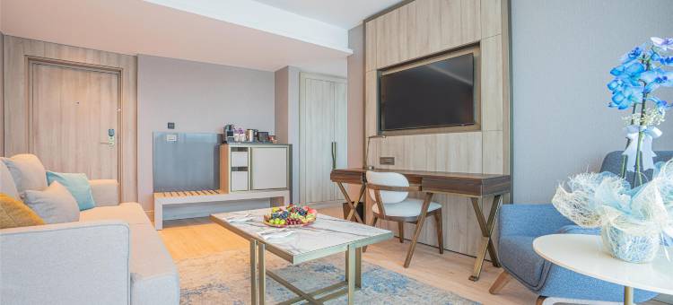 伊斯坦布尔梅尔特雷迪森酒店(Radisson Hotel Istanbul Merter)图片