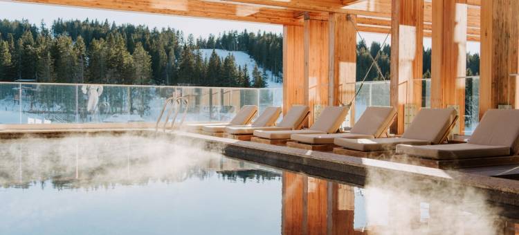 塞尔维亚科帕奥尼克维卡罗伊酒店(Viceroy Kopaonik Serbia)图片